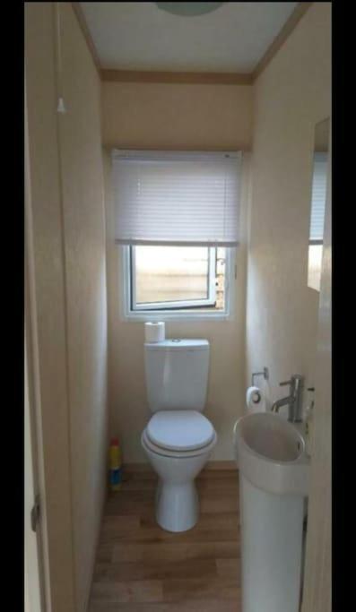 Chalet Te Huur Op *****Camping Terspegelt 4 Personen Eersel Extérieur photo